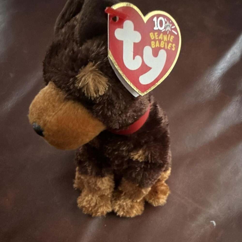 Ty Beanie Babies Amigo Dog Plush
